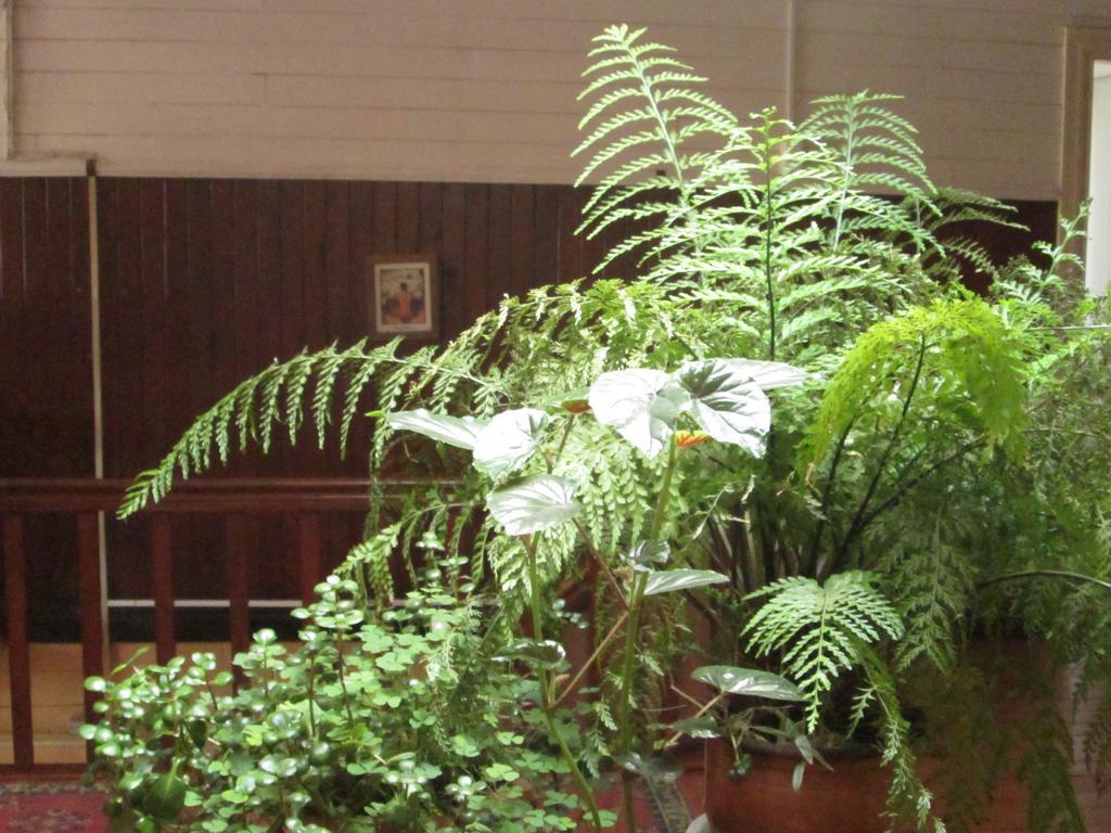 Hostal Patrimonial Angelmo Puerto Montt Ngoại thất bức ảnh